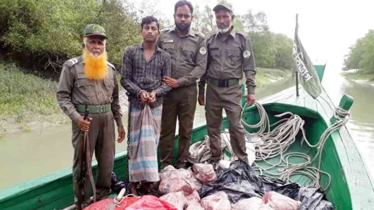 ছবি: সংগৃহীত