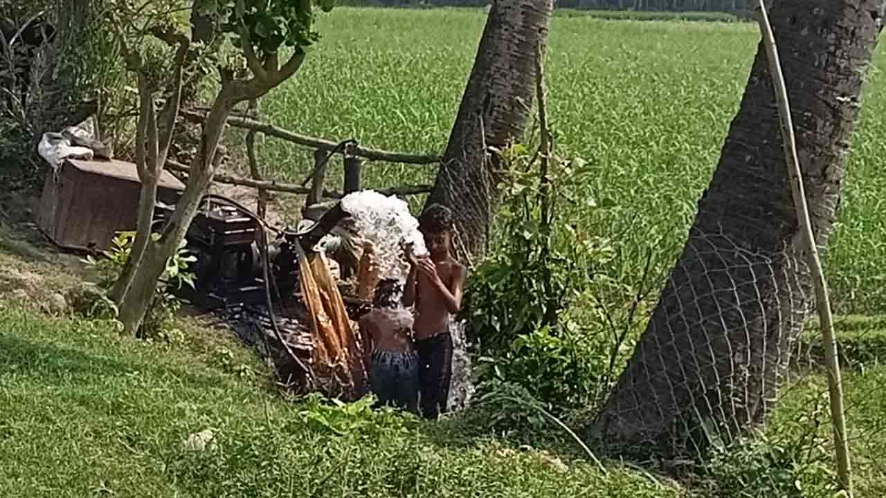 ছবি: ফাইল ছবি