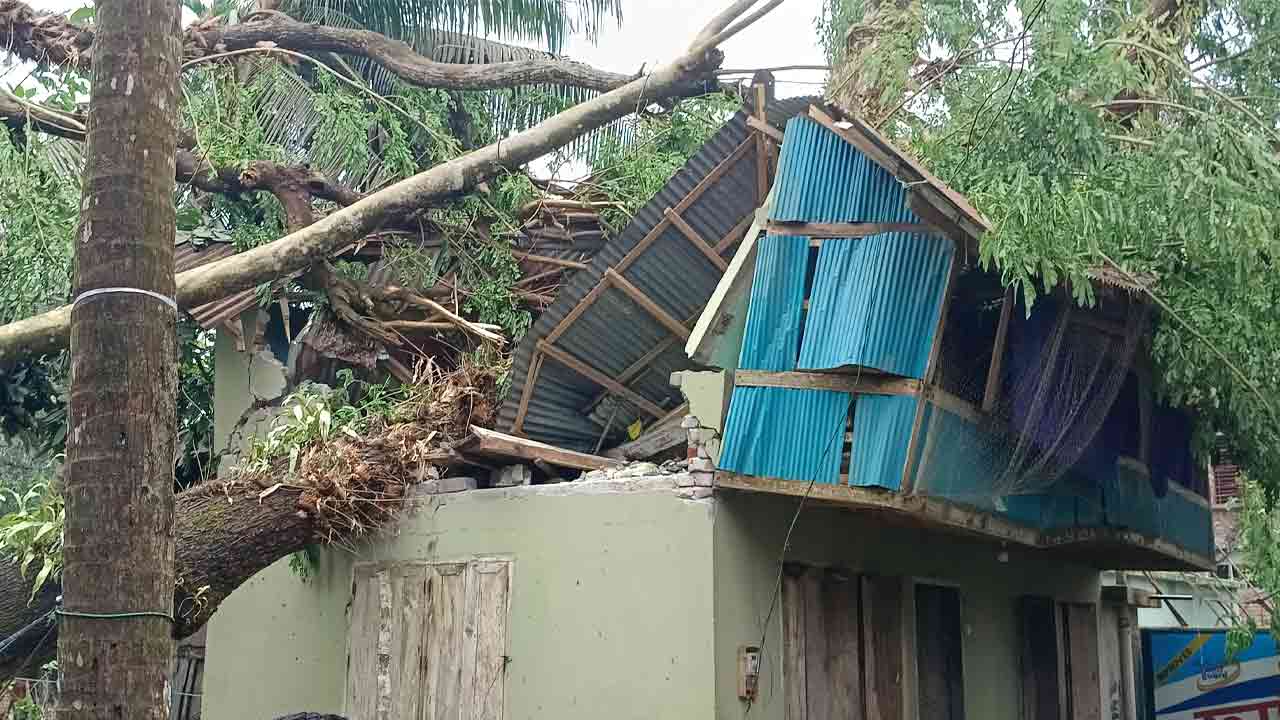 ছবি: দেশ টিভি