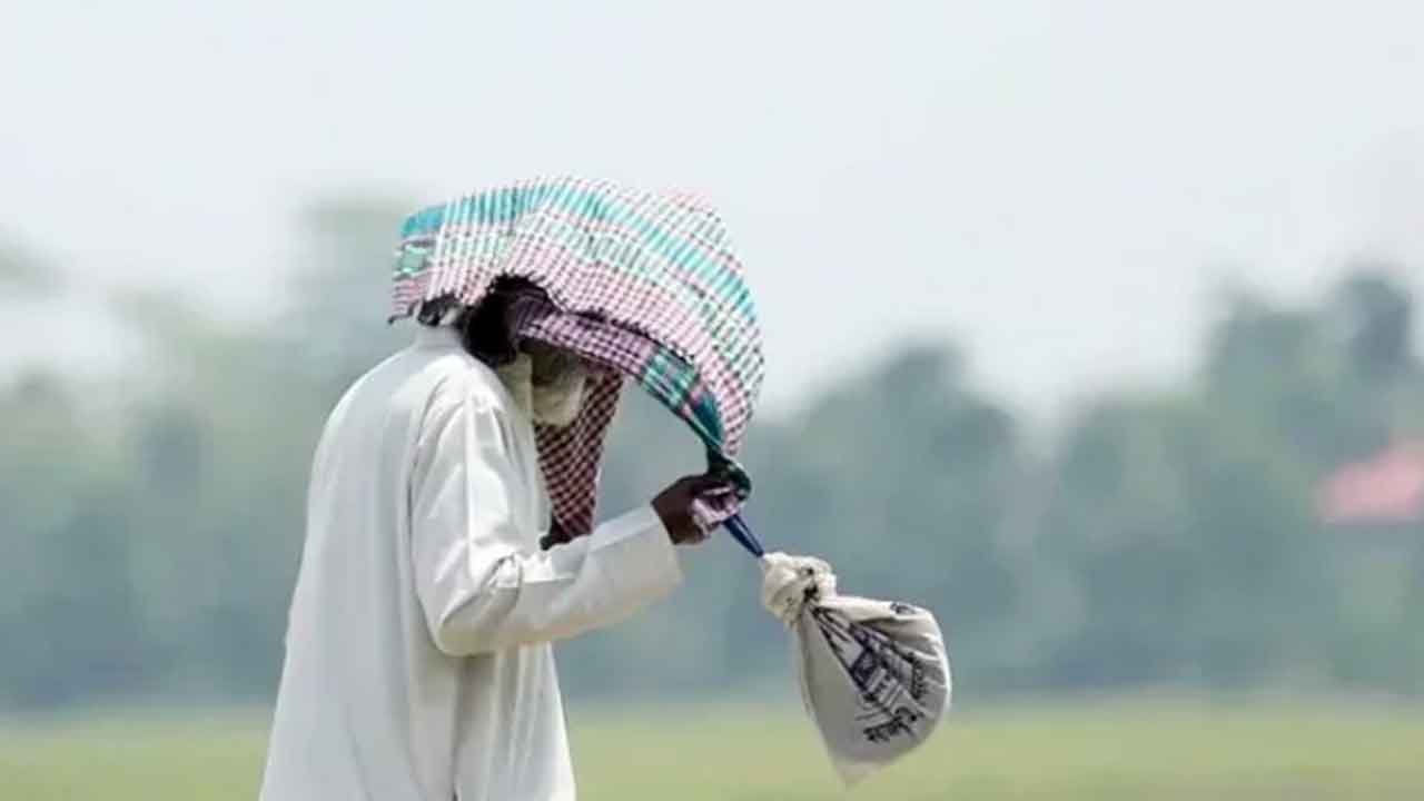 ফাইল ছবি