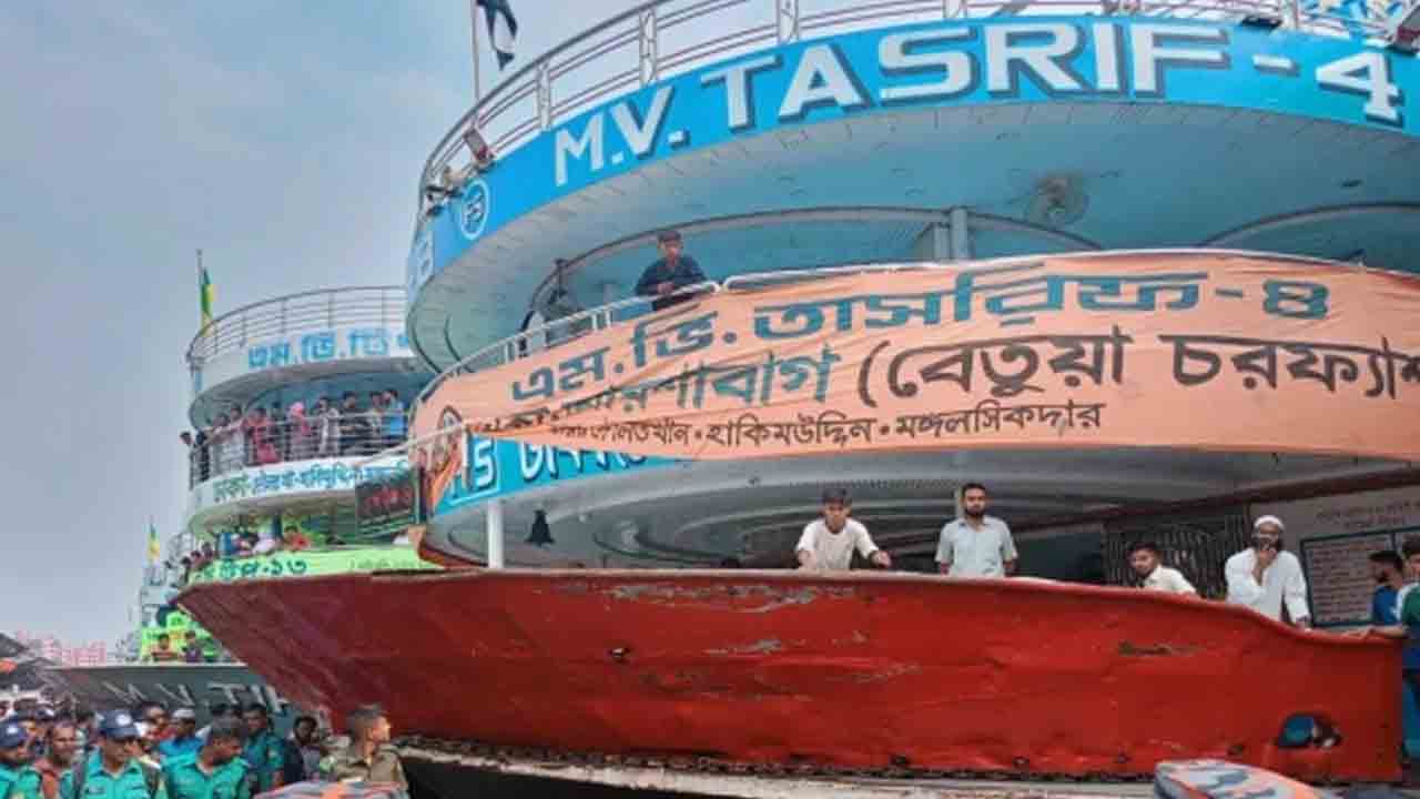 সাম্প্রতিক ছবি