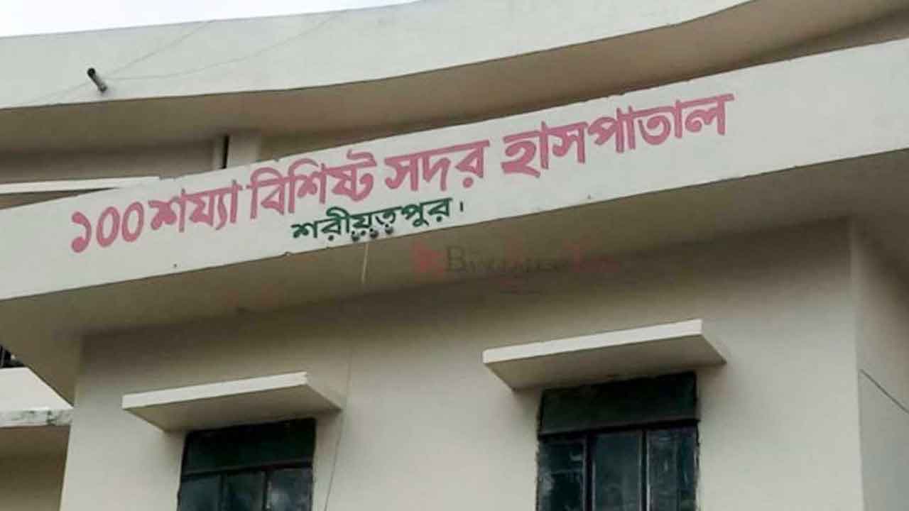 ফাইল ছবি