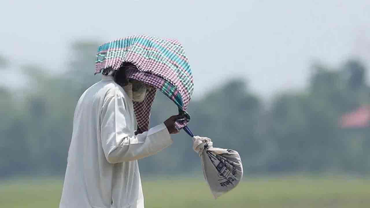 সংগৃহীত ছবি