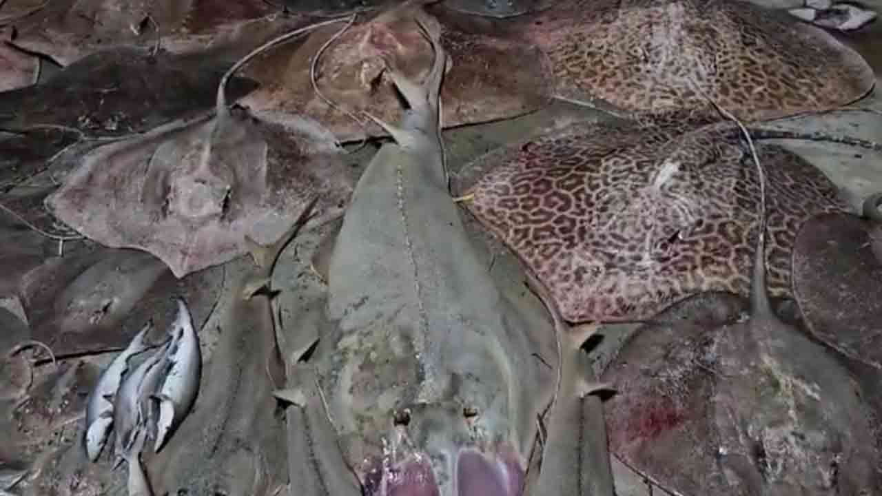 ছবি: দেশ টিভি