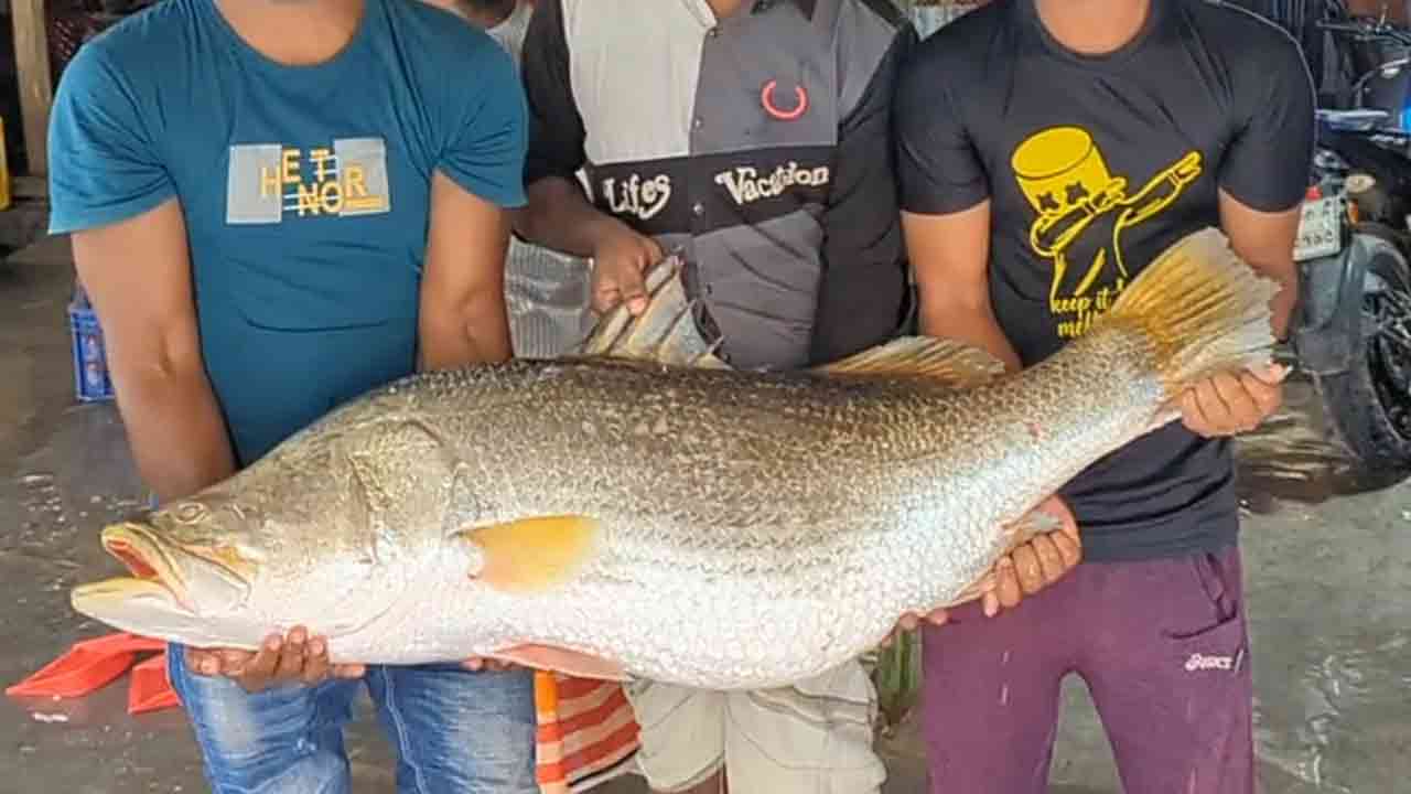 ছবি: দেশ টিভি