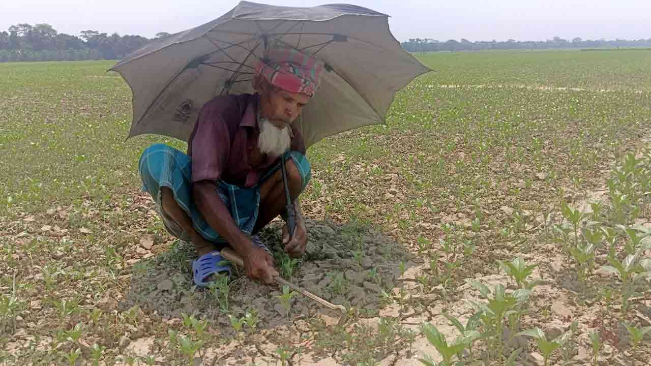 ছবি: দেশ টিভি
