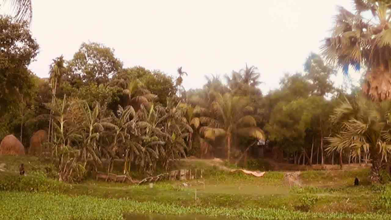 ছবি: দেশ টিভি