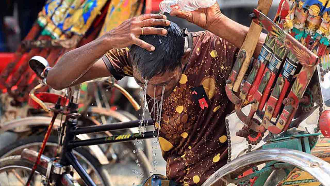 ছবি: সংগৃহীত