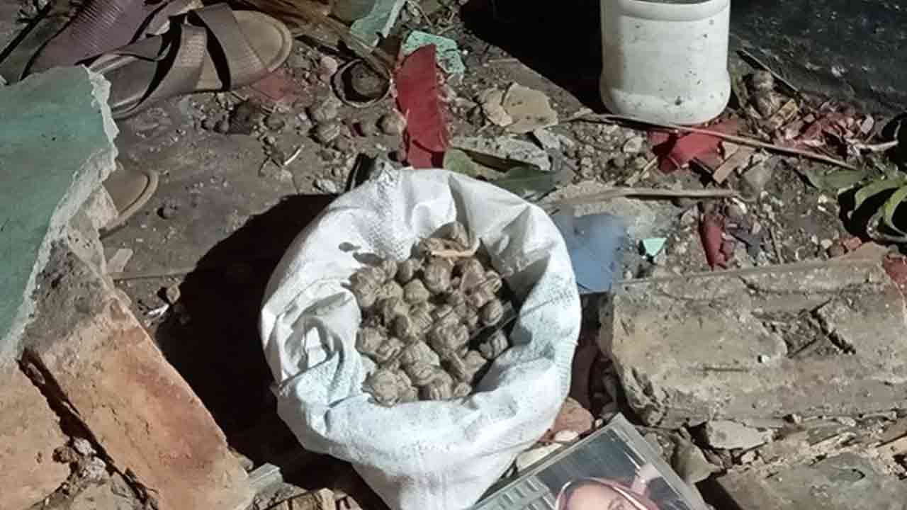 ছবি: সংগৃহীত