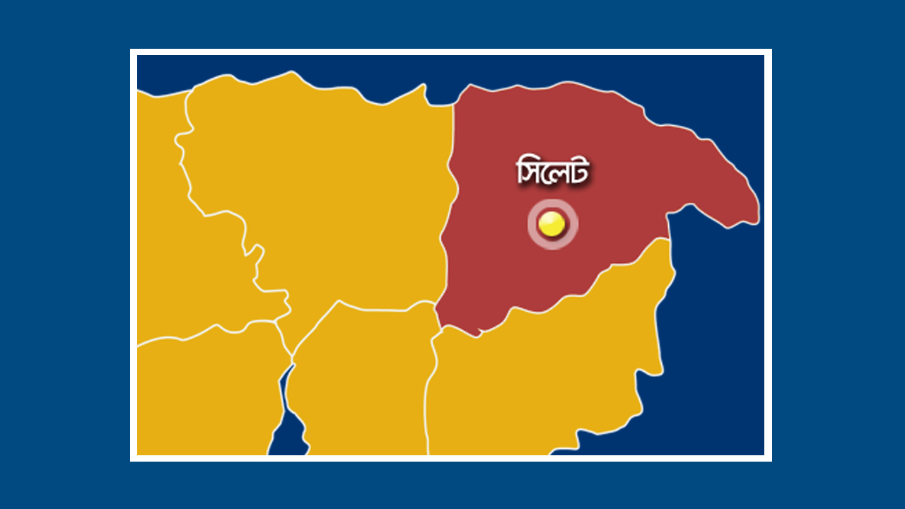 ছবি: ফাইল ছবি