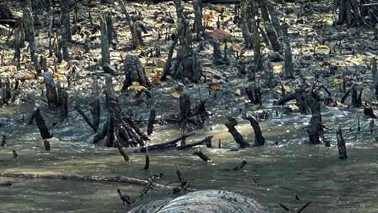 ছবি: দেশ টিভি