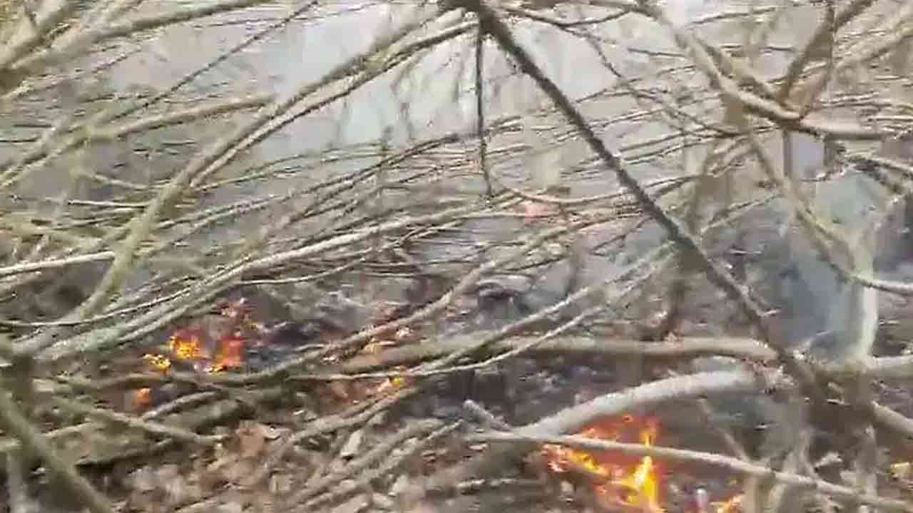 ছবি: ফাইল ছবি