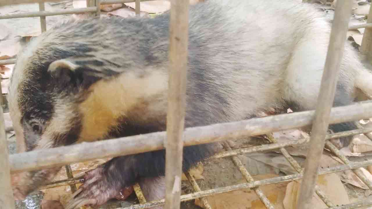 ছবি: দেশ টিভি