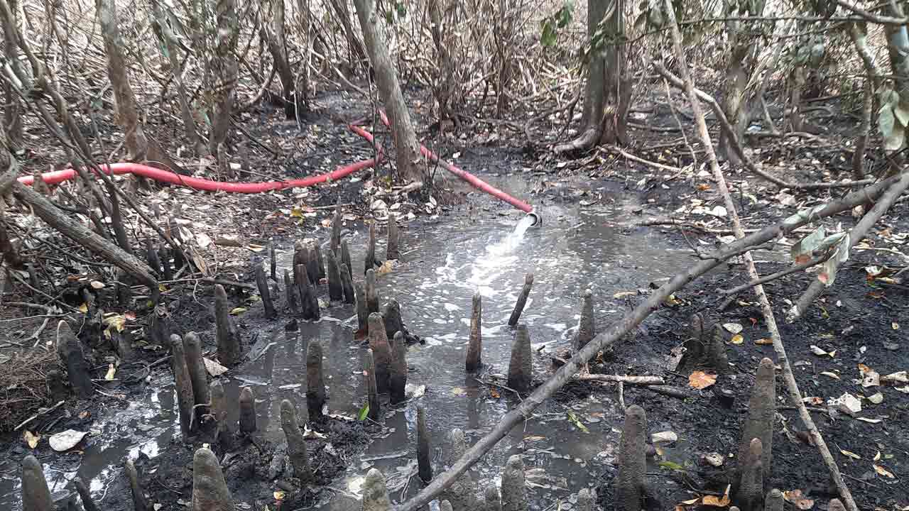 ছবি: দেশ টিভি