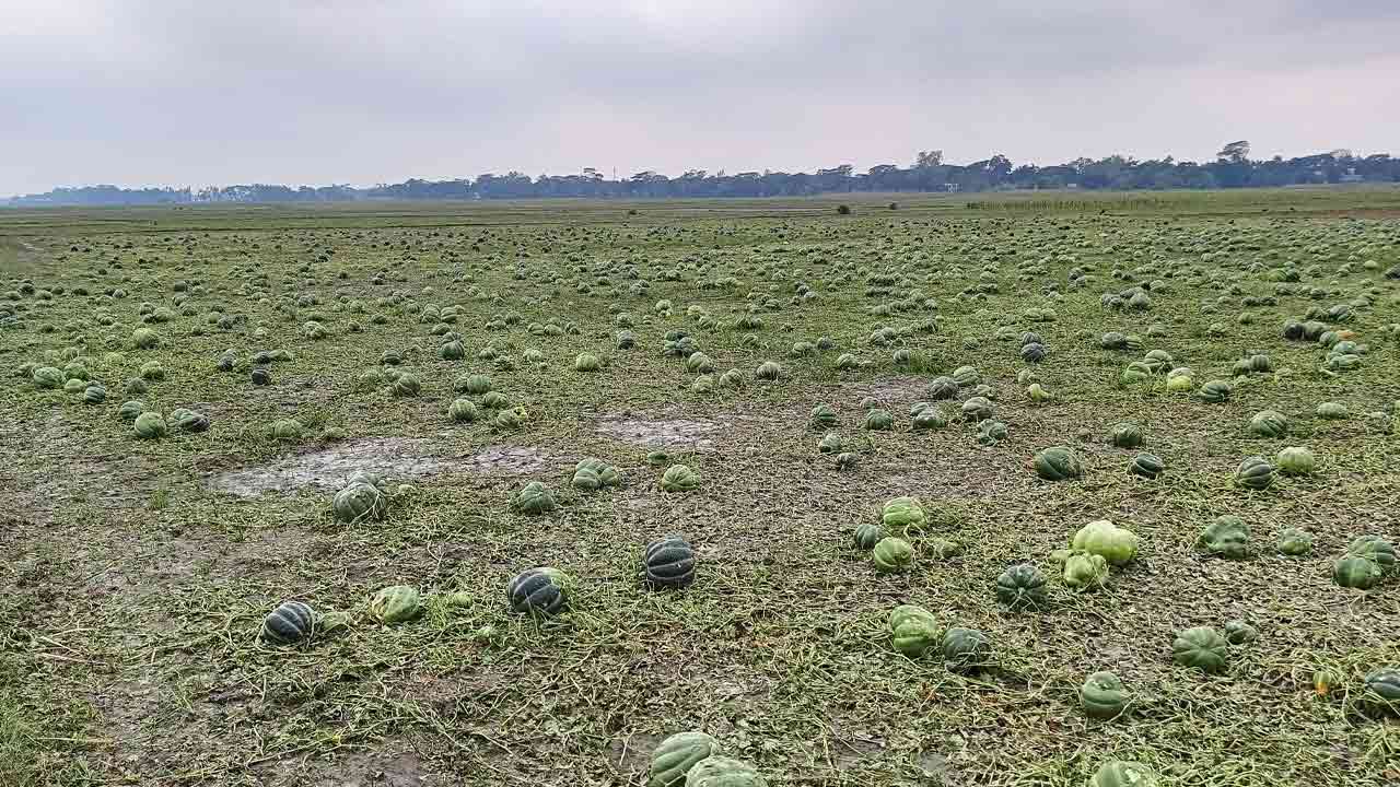 ছবি: দেশ টিভি