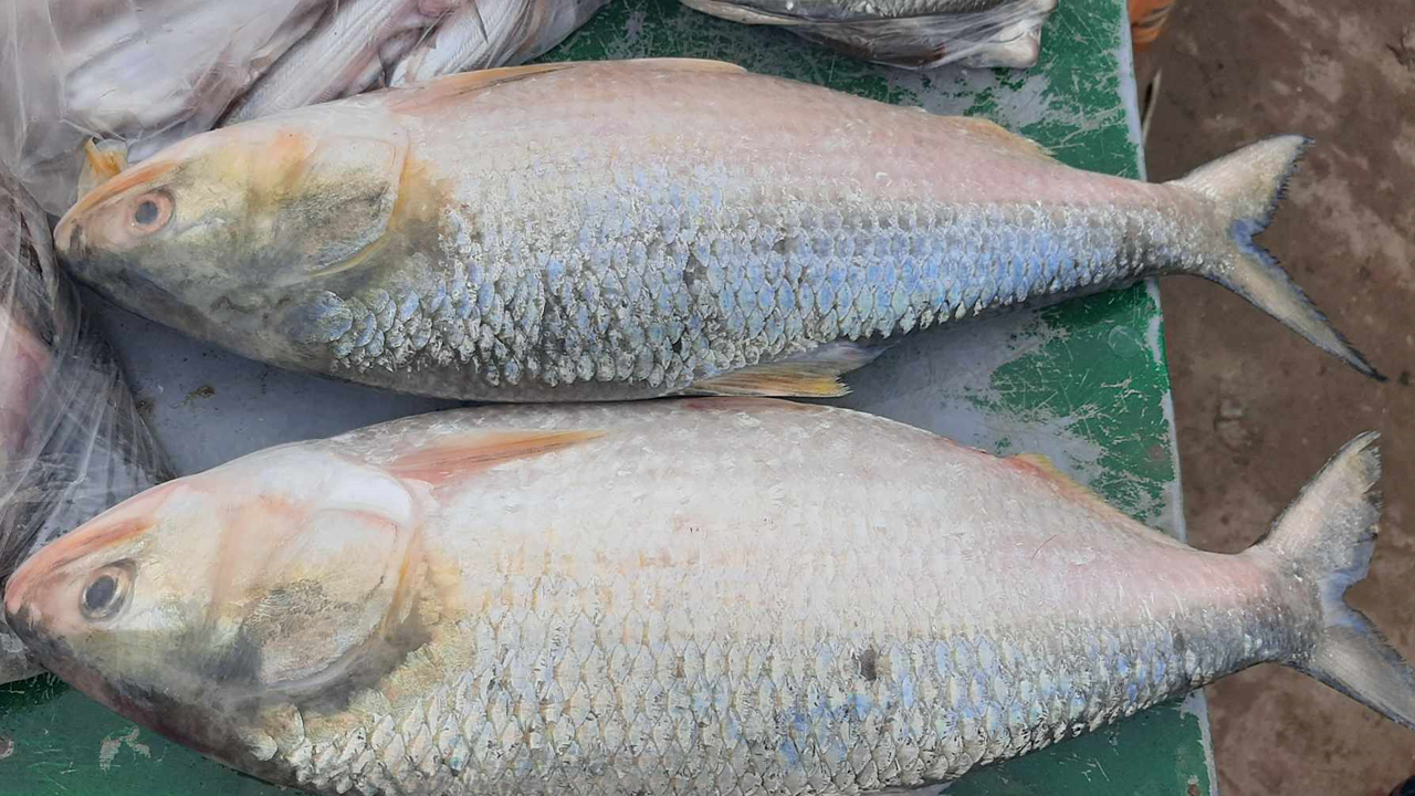 ছবি: দেশ টিভি