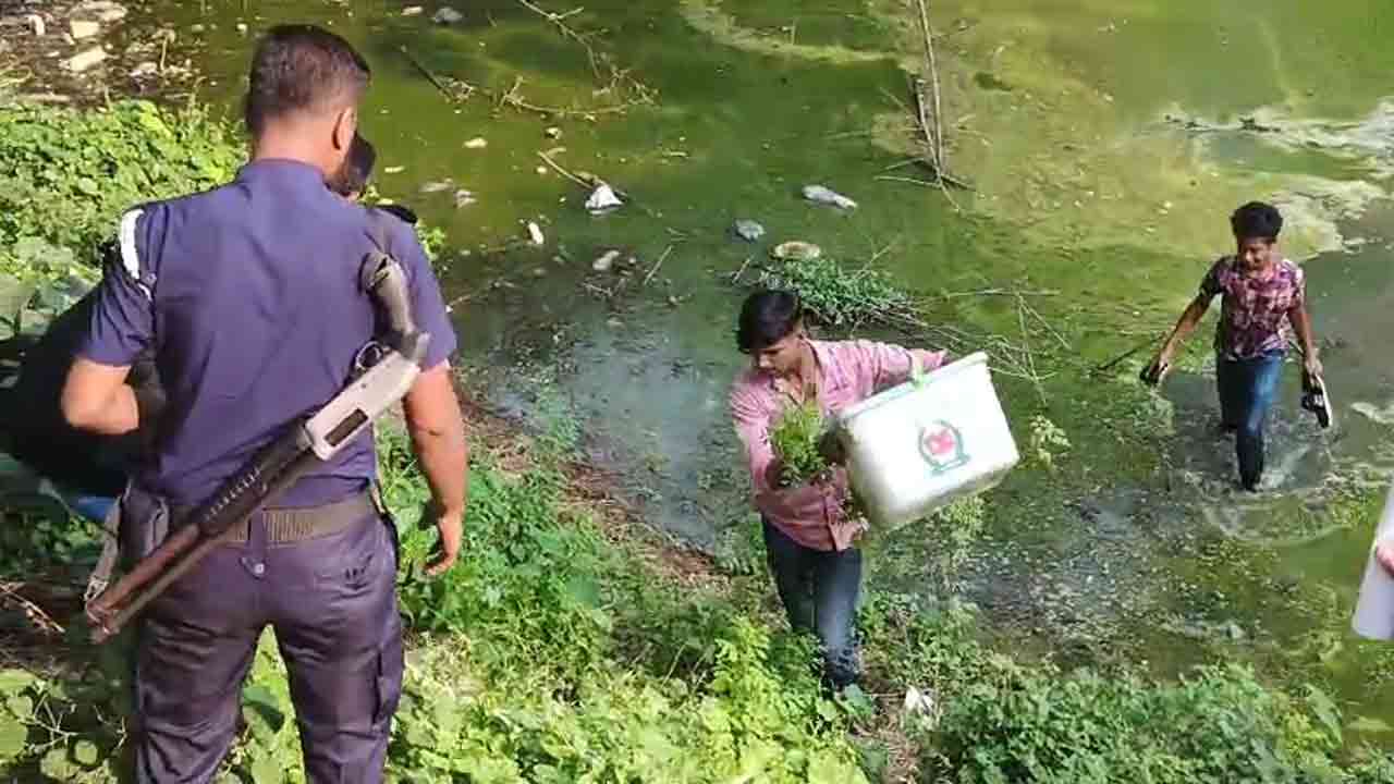 ছবি-দেশ টিভি