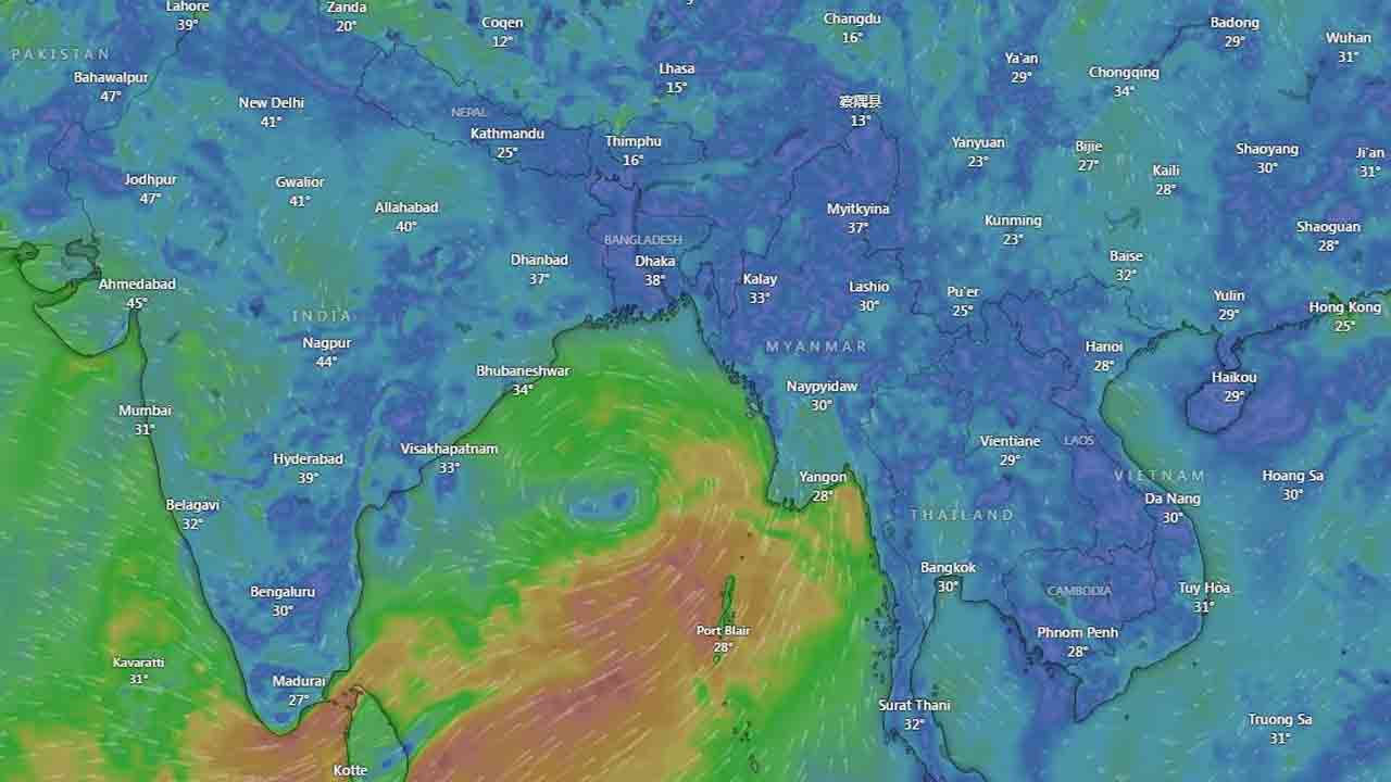 সংগৃহীত ছবি