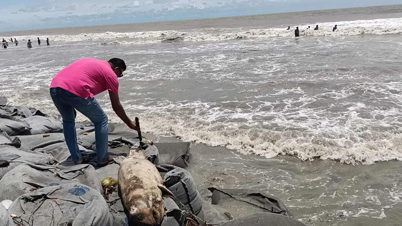 ছবিঃ দেশ টিভি
