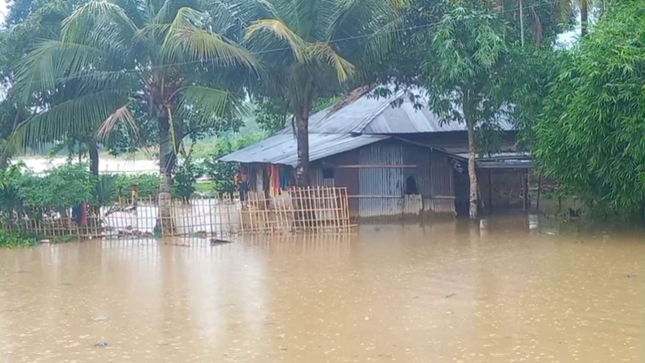 ছবিঃ দেশ টিভি