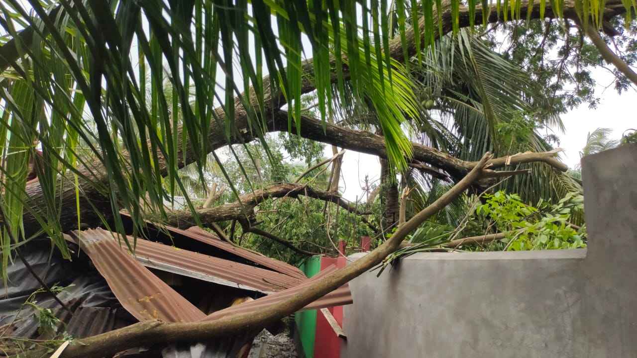ছবিঃ দেশ টিভি