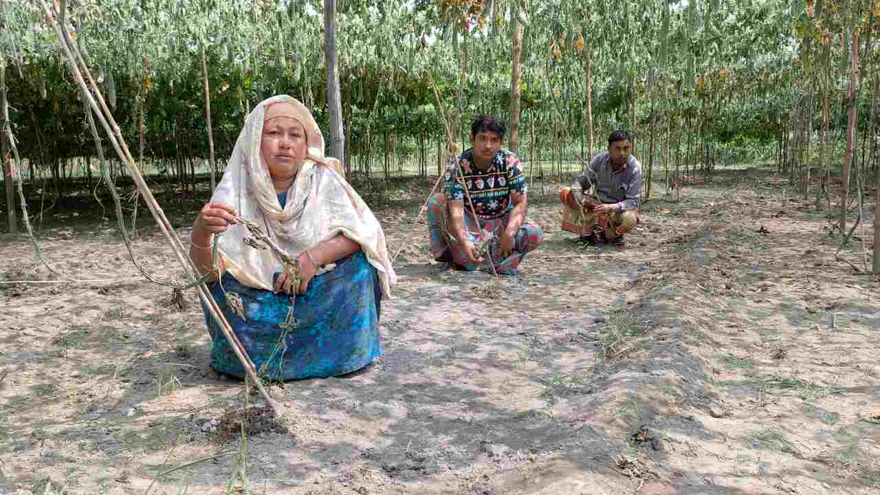 ছবিঃ দেশ টিভি