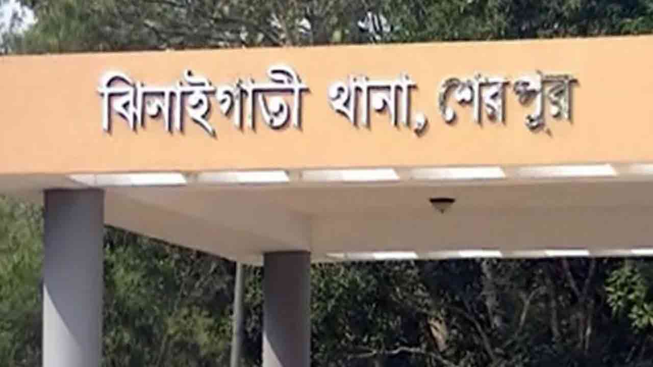 ফাইল ছবি