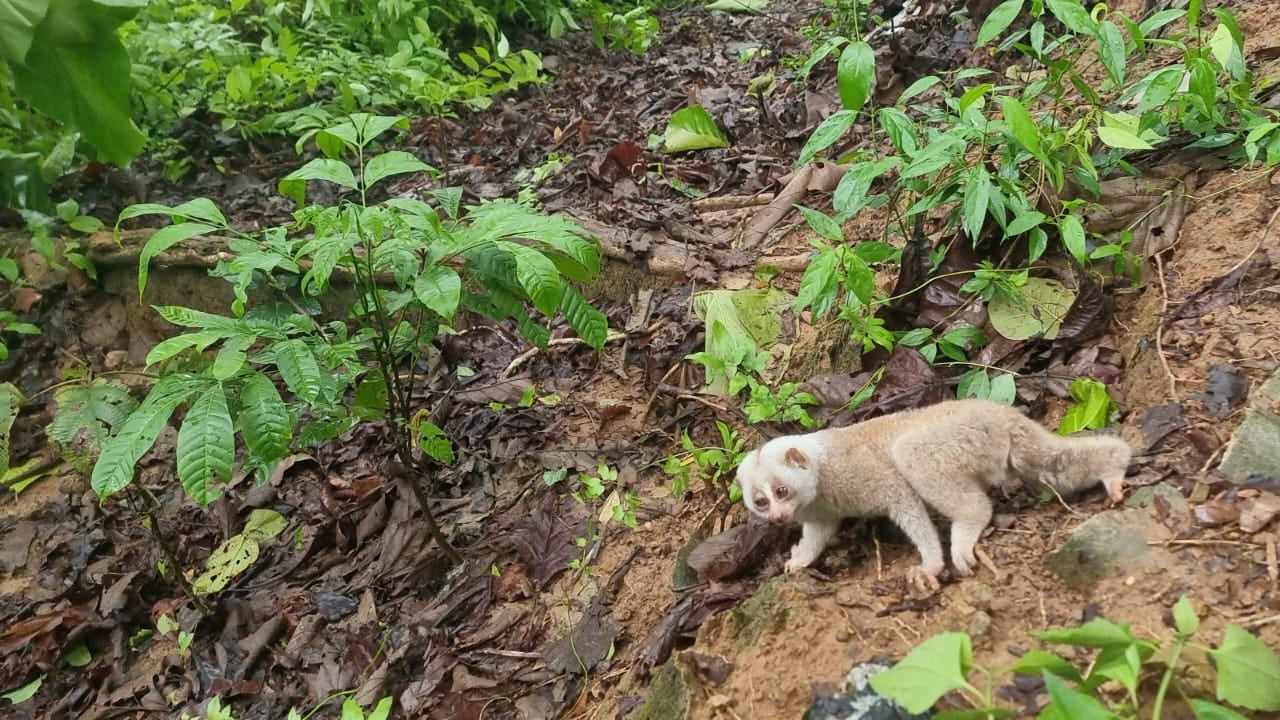 ছবি: দেশ টিভি