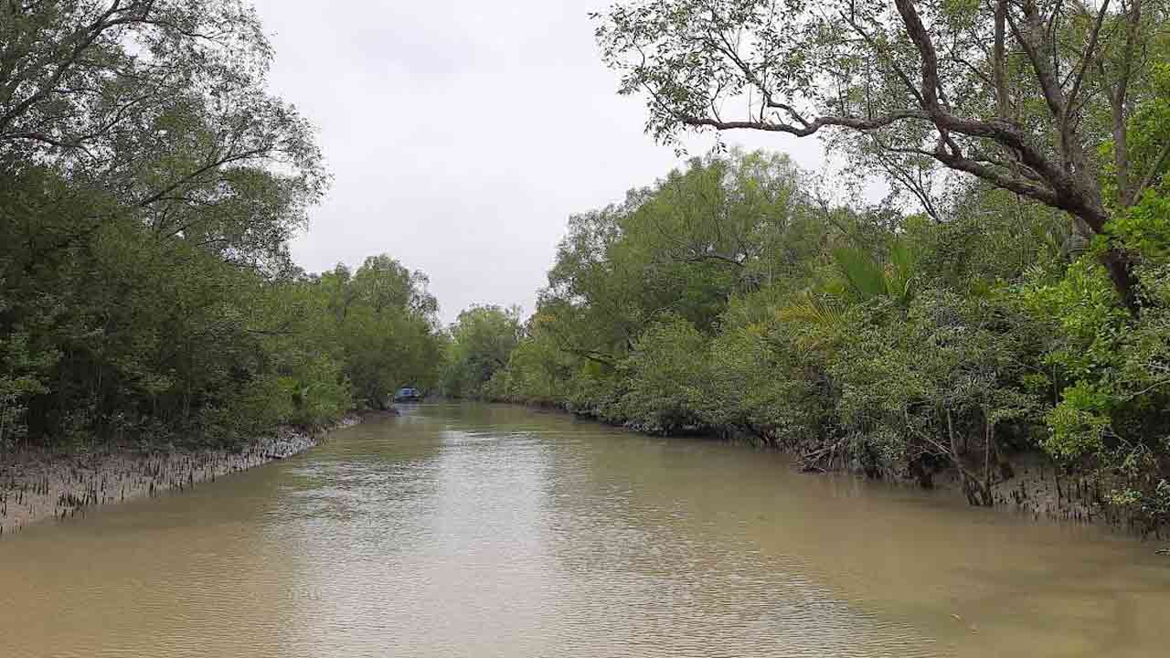ফাইল ছবি