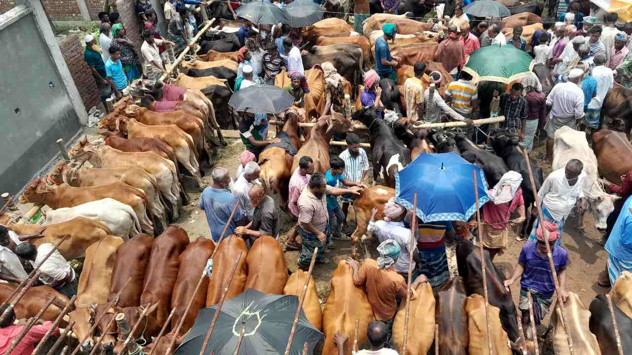 ছবিঃ দেশ টিভি