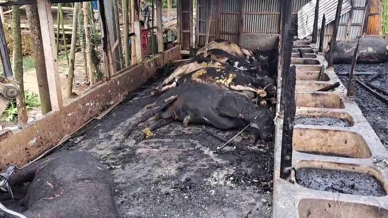 ছবিঃ দেশ টিভি