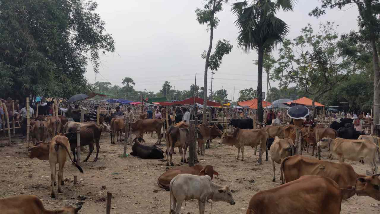 ছবিঃ দেশ টিভি