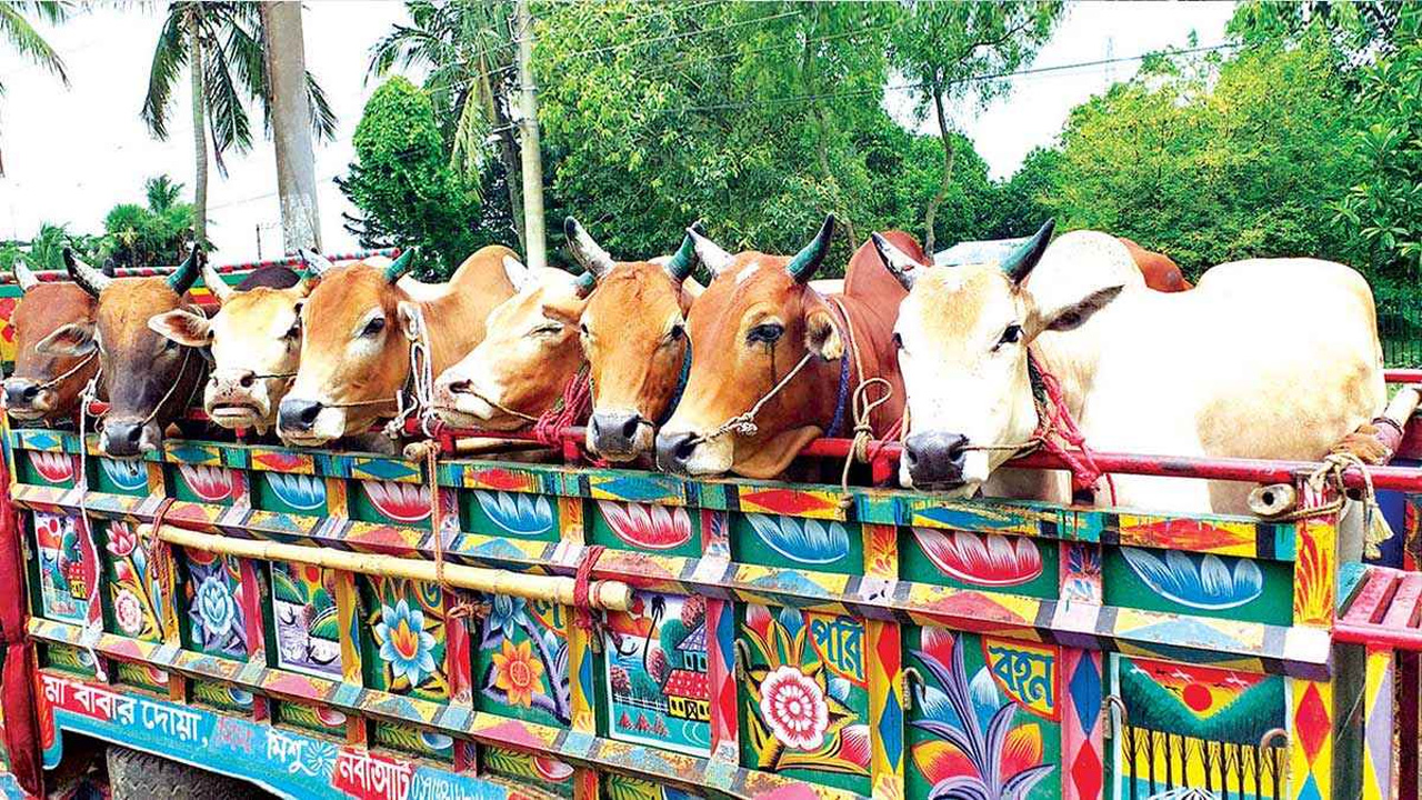 ছবি: সংগৃহীত