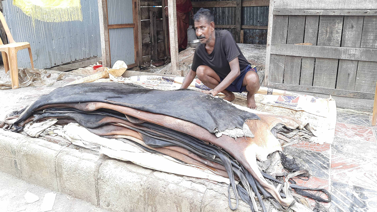 চামড়া কিনে বিপাকে ব্যবসায়ীরা, লোকসানের শঙ্কা
