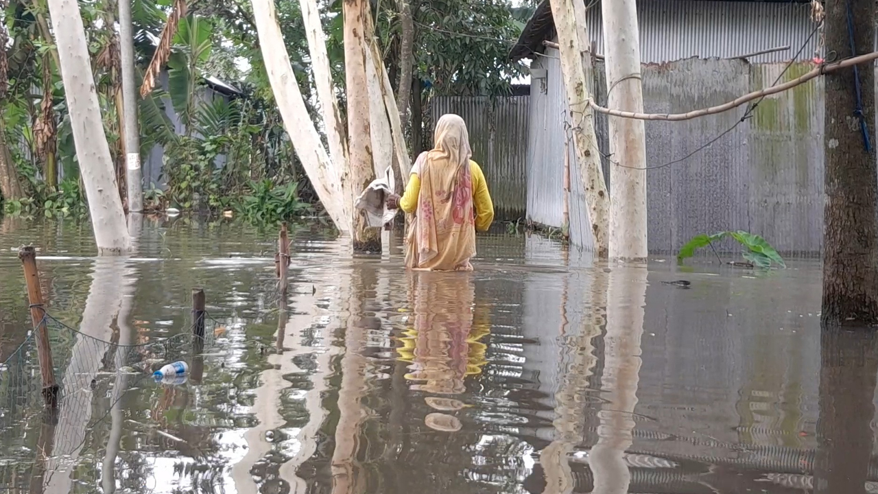 ছবি: দেশ টিভি