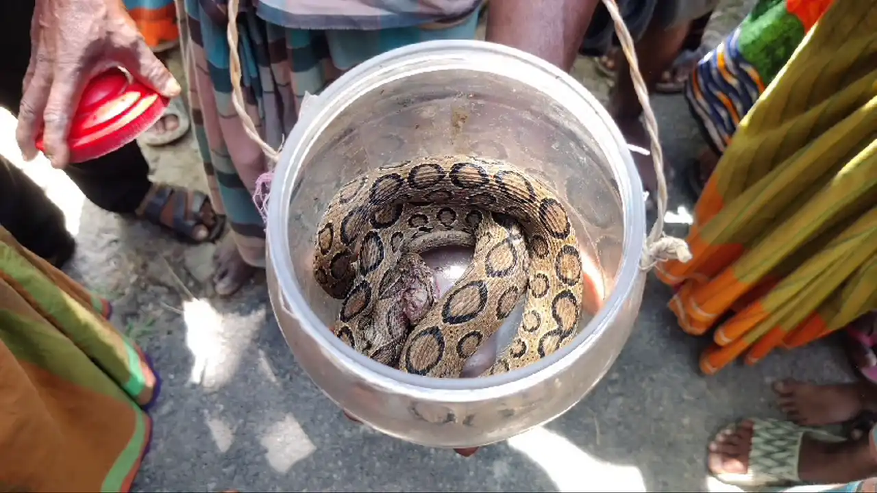 ছবিঃ দেশ টিভি