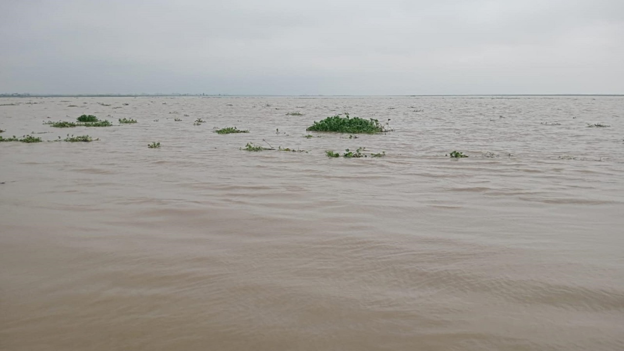 ছবি: দেশ টিভি