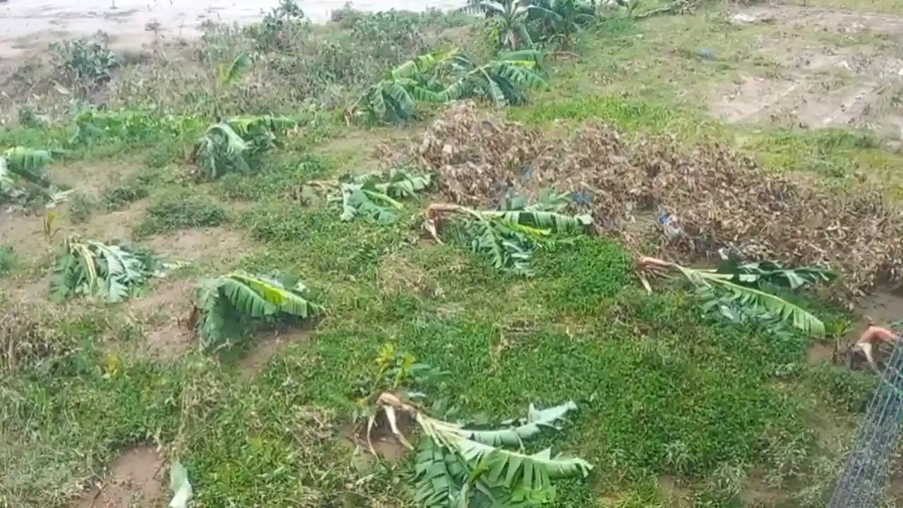 ছবিঃ দেশ টিভি