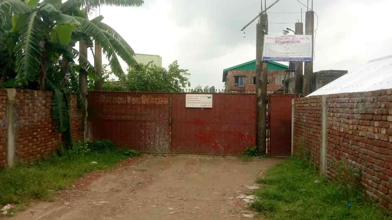 ফাইল ছবি