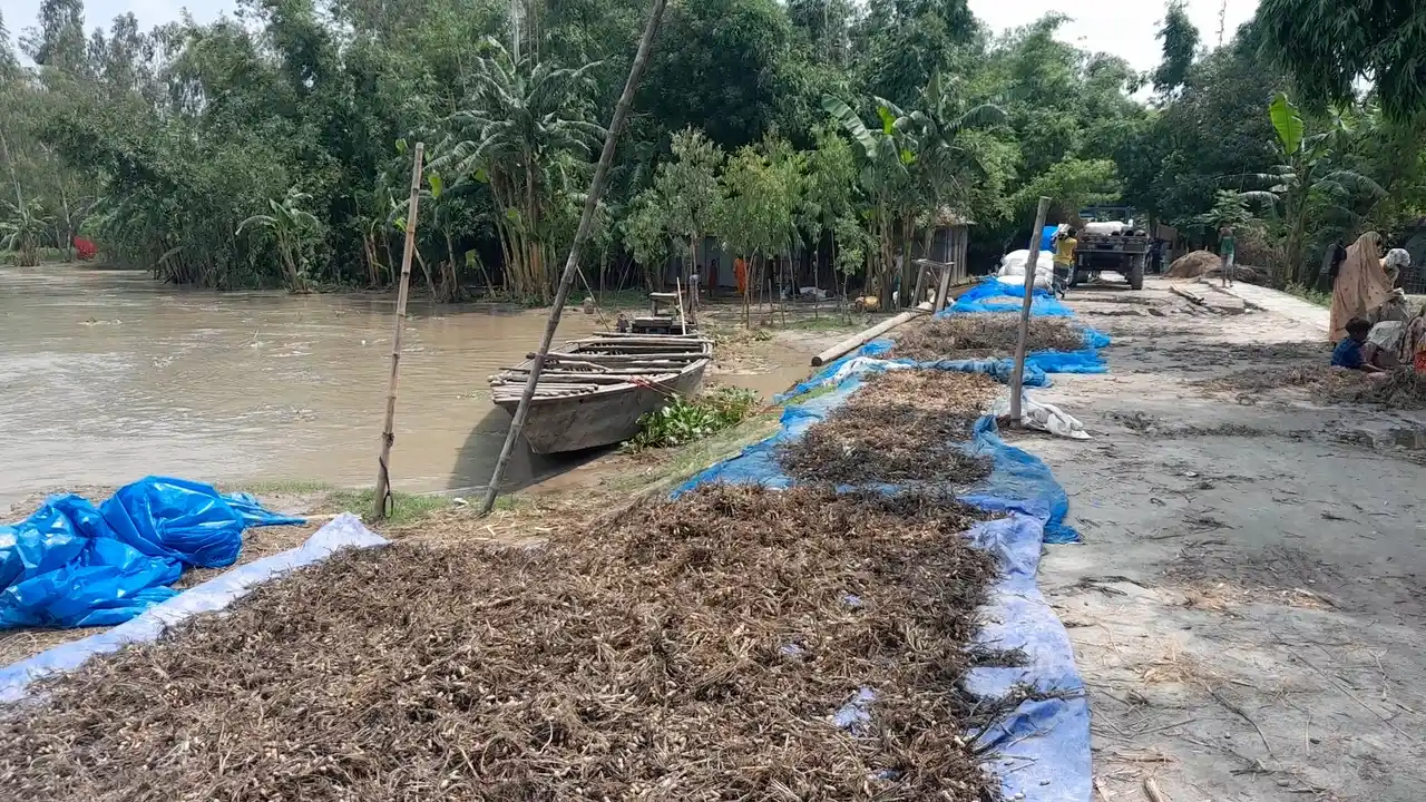 ছবিঃ দেশ টিভি