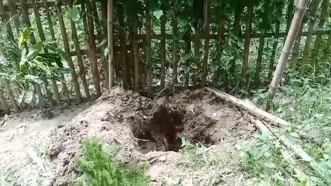 ছবিঃ দেশ টিভি
