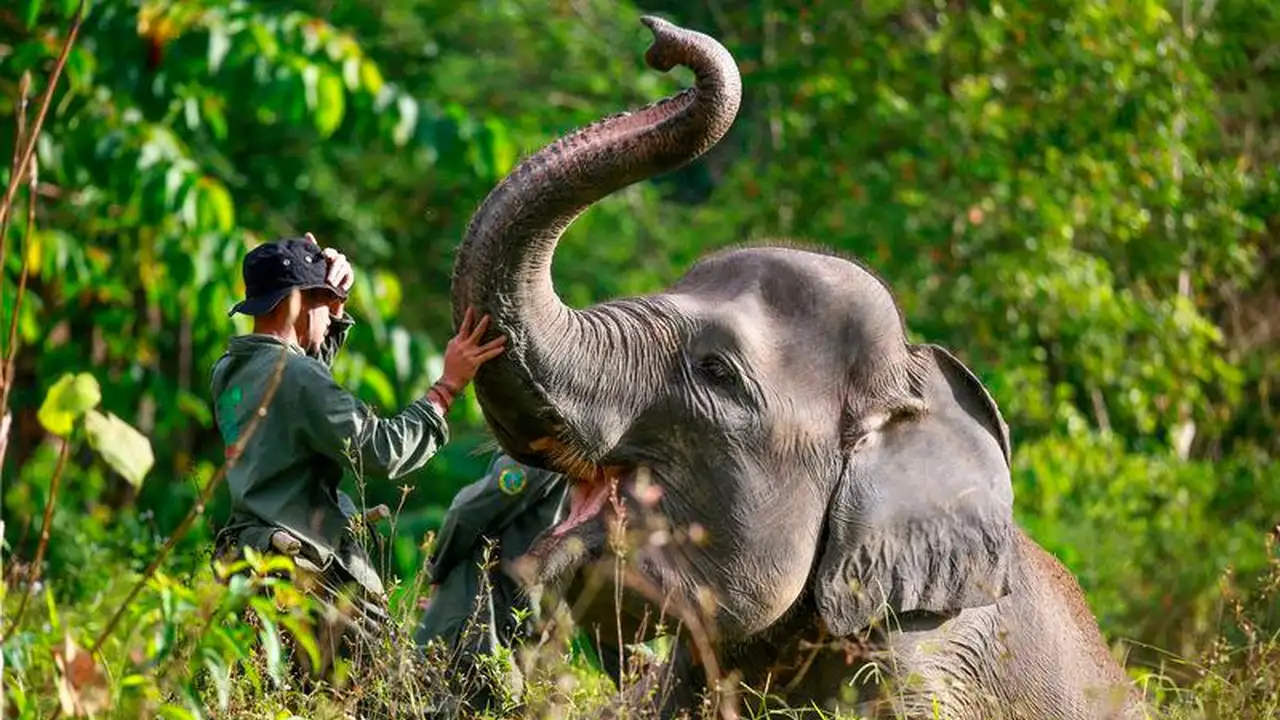 ছবি: দ্য সান