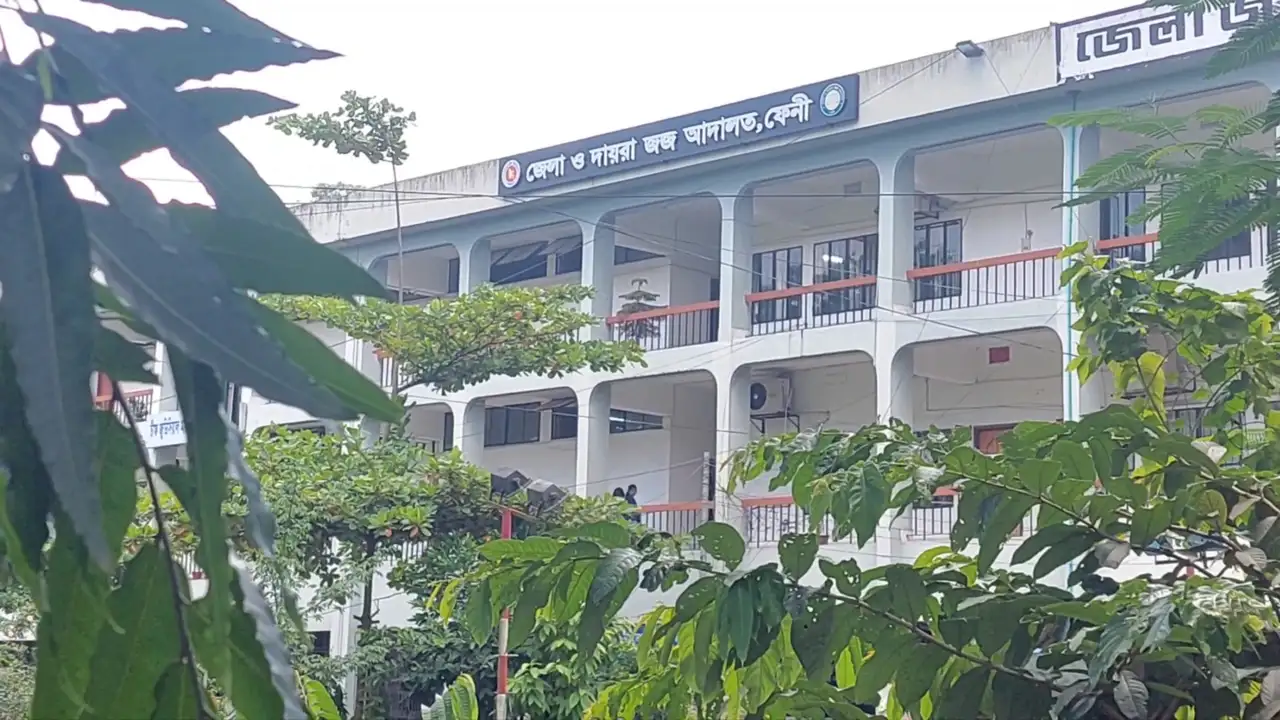 ১১টি কুকুর হত্যায় অভিযুক্তকে আদালতে হাজির করার নির্দেশ