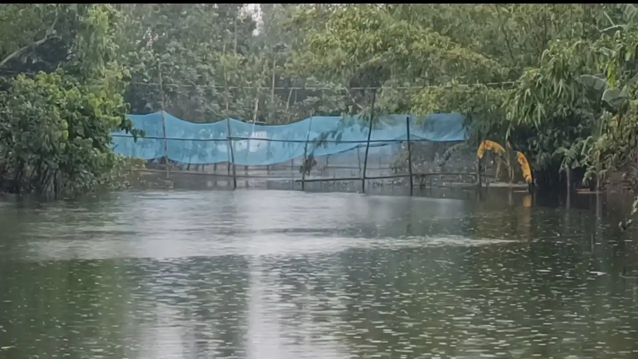 ছবিঃ দেশ টিভি