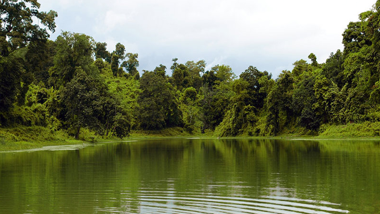 ফাইল ছবি