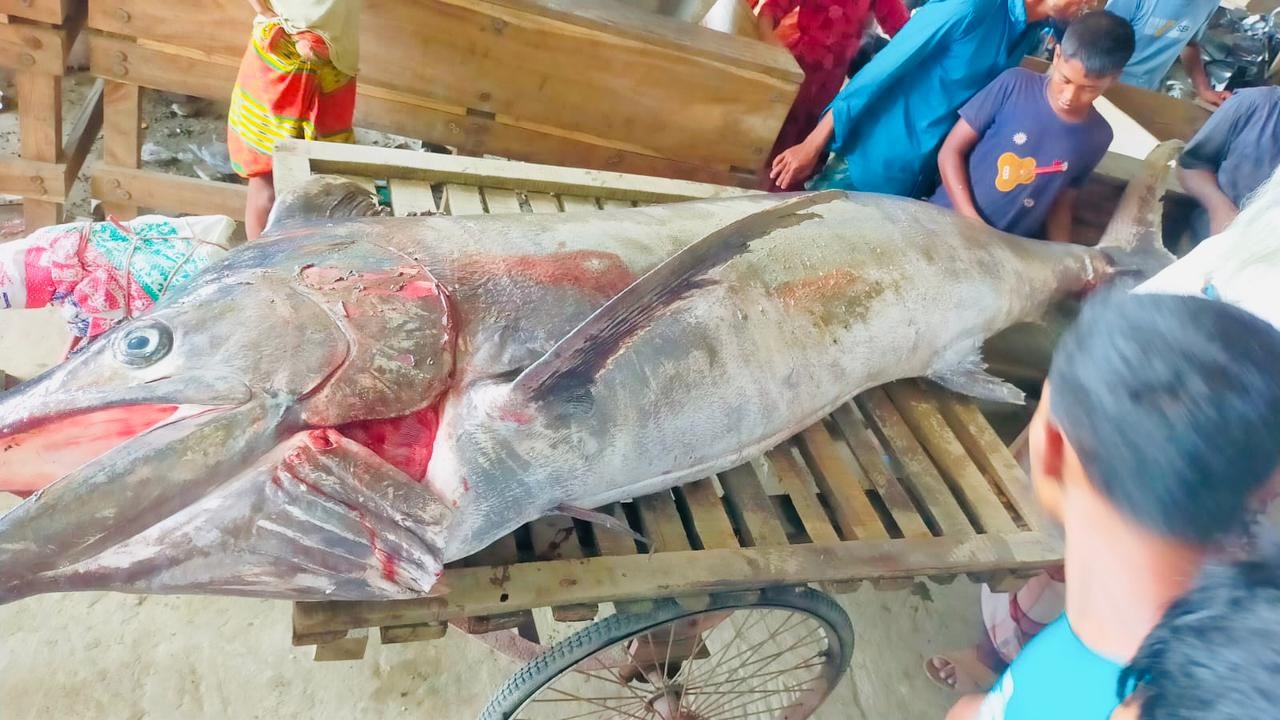 ছবি: দেশ টিভি