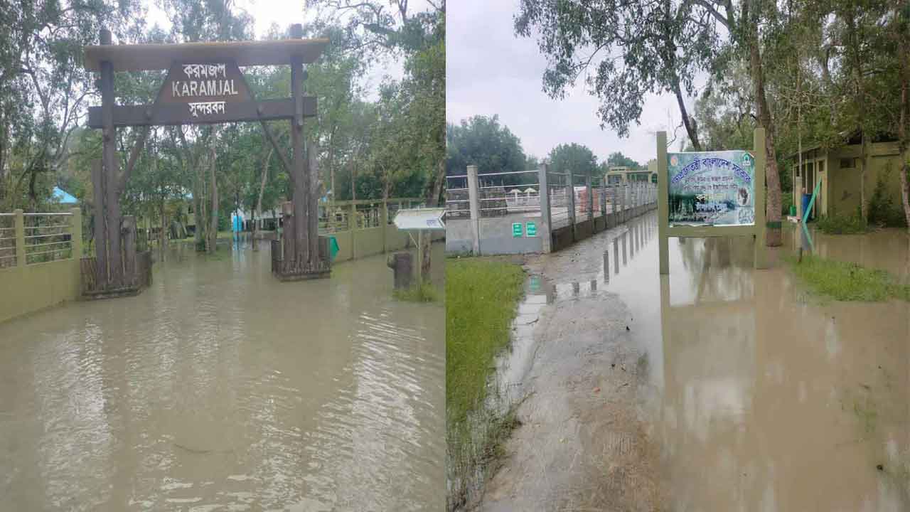 সুন্দরবনের নদ-নদীতে স্বাভাবিকের চেয়ে জোয়ারের পানির উচ্চতা দুই থেকে চার ফুট বেড়েছে।
