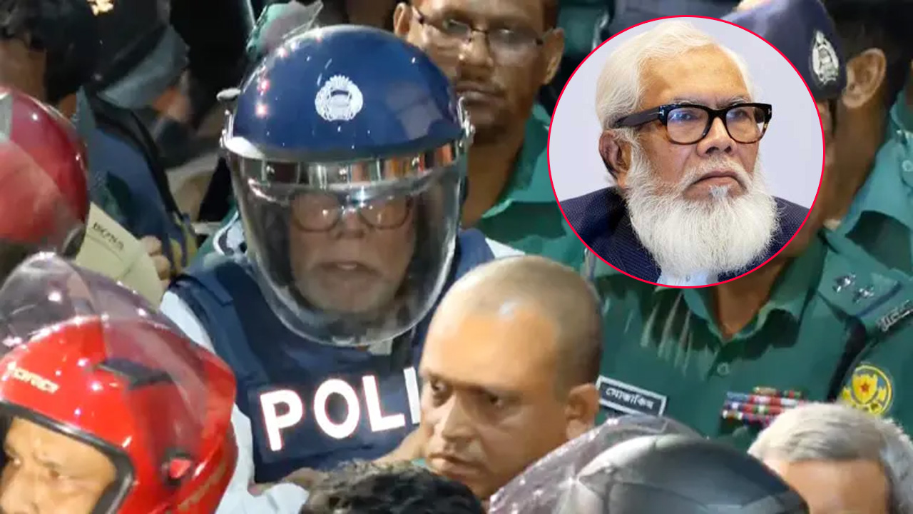 ছবি: সংগৃহীত