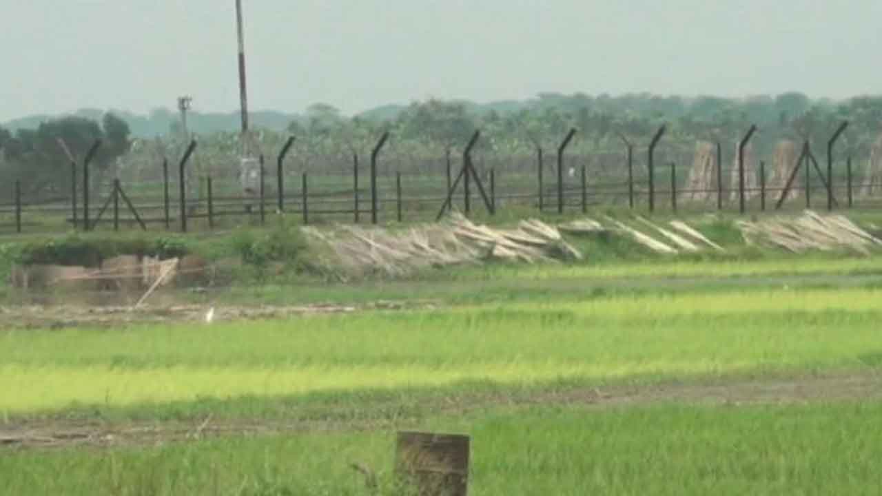 ফাইল ছবি