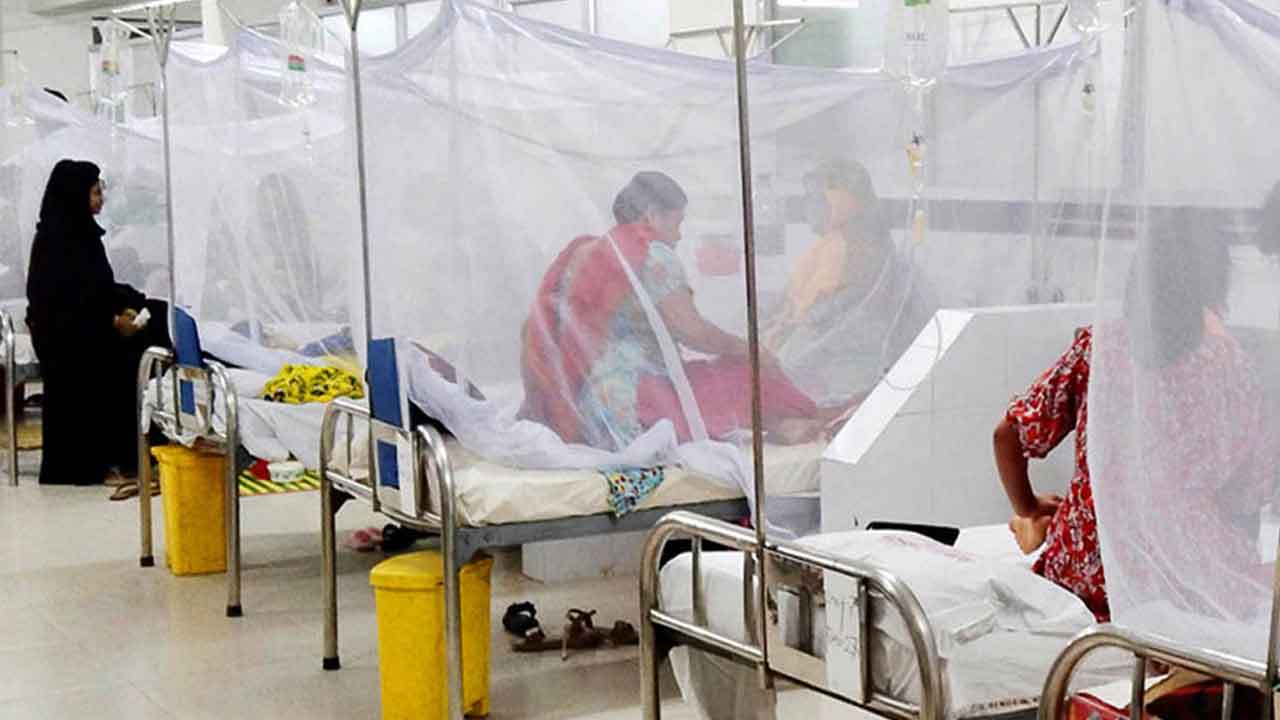 আশঙ্কাজনক হারে বাড়ছে ডেঙ্গু, &nbsp;একদিনে ৬ জনের মৃত্যু